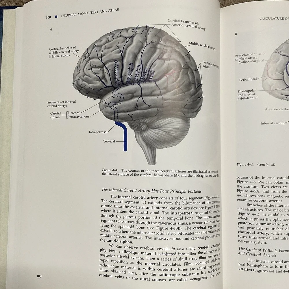 Neuroanatomy‎ Atlas John H. Martin Text And Atlas Second Edition
